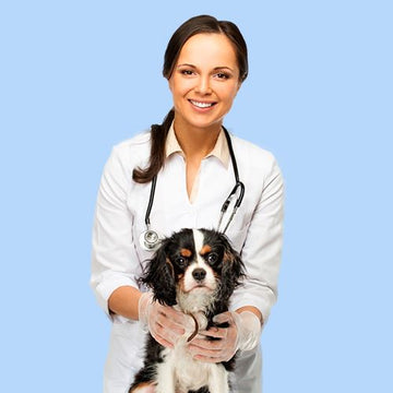 Farmacia