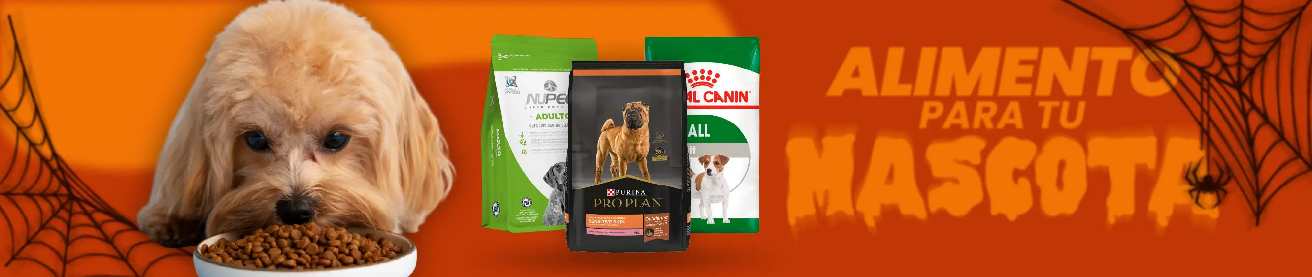 slider image slider_item_px7GqE