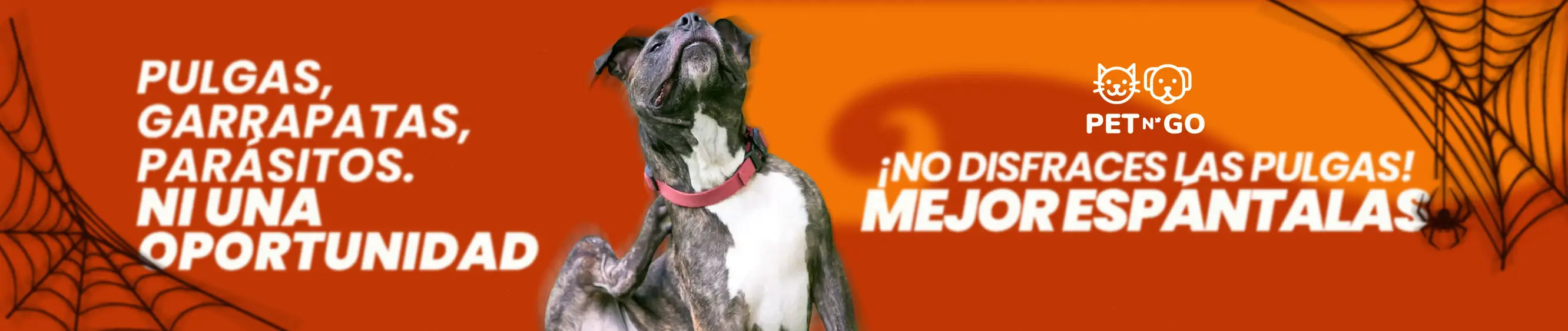 slider image slider_item_pzmbEJ