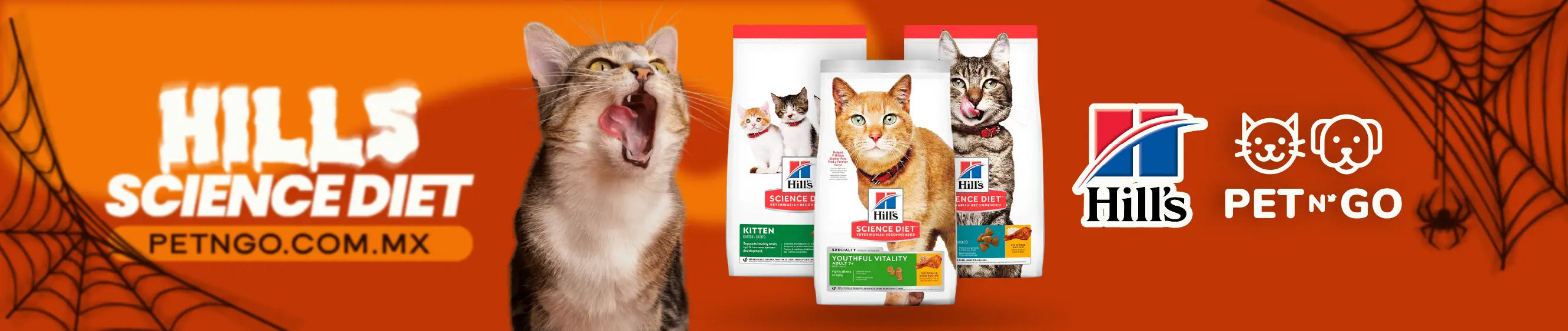 slider image slider_item_WAA87B