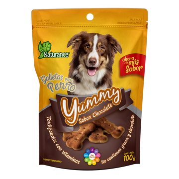 YUMMY SABOR CHOCOLATE 100 G FL3841