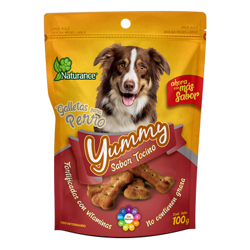 YUMMY SABOR TOCINO 100 G FL3843