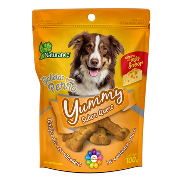 YUMMY SABOR QUESO 100 G FL3846