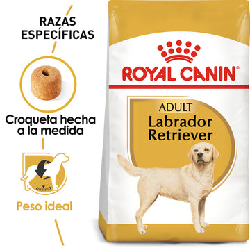 Alimento Royal Canin - Labrador Retriever 30 Adulto