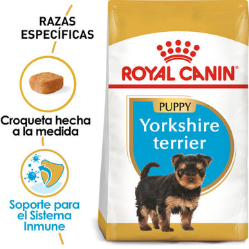 Royal Canin - Yorkshire Terrier Puppy