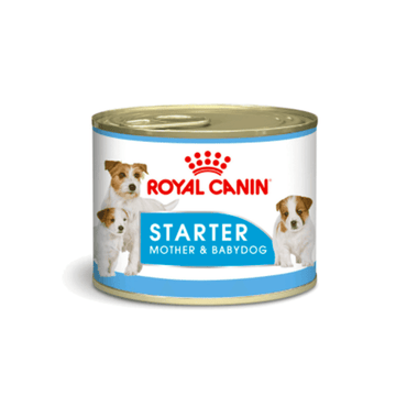 Royal Canin Starter Mousse Lata 145gr - Alimento Húmedo Perras Gestantes y Cachorros