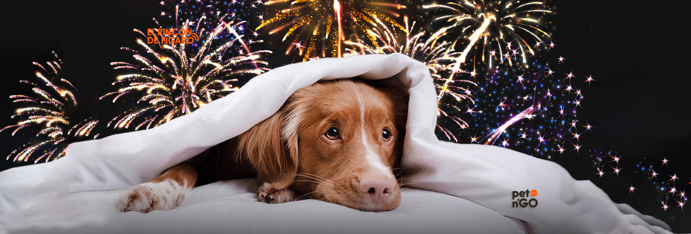 ¿Felices fiestas o una pesadilla?