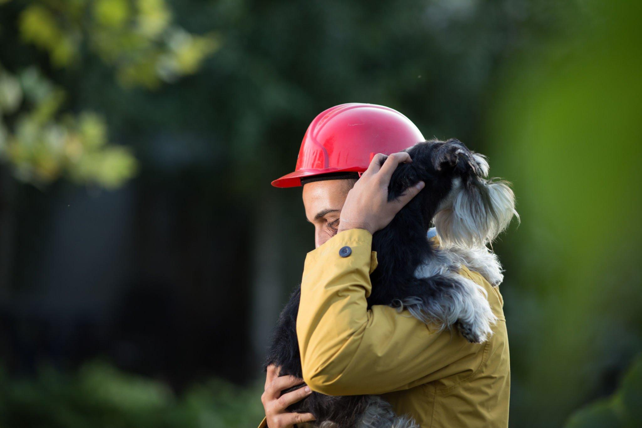Cómo proteger a tu mascota durante un sismo: consejos prácticos
