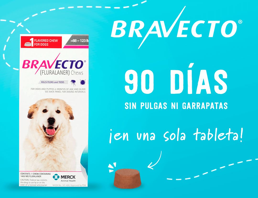 Antipulgas para Perros
