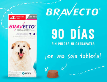 Antipulgas para Perros