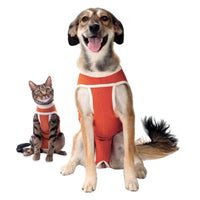 Copper Vet Body Cobre Original Postoperatorio Talla 12