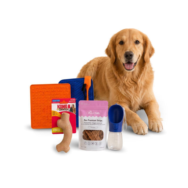 KIT 5 - Home office