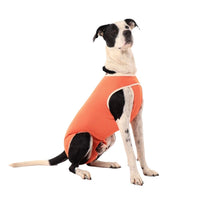 Copper Vet Body Cobre Original Postoperatorio Talla 2