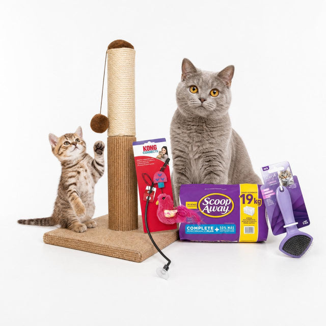 KIT 4 - Gatito Interior