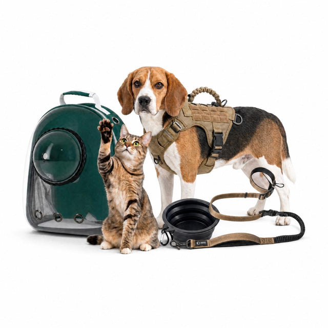 KIT 3 - Viaje con Mascota