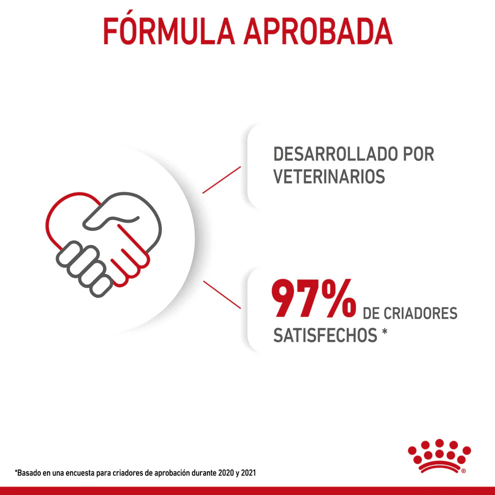 Alimento Seco Perro Cachorro Raza Grande Royal Canin Large / Maxi Puppy 13.6 kg