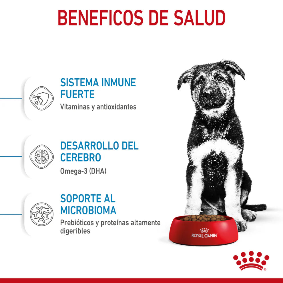 Alimento Seco Perro Cachorro Raza Grande Royal Canin Large / Maxi Puppy 13.6 kg