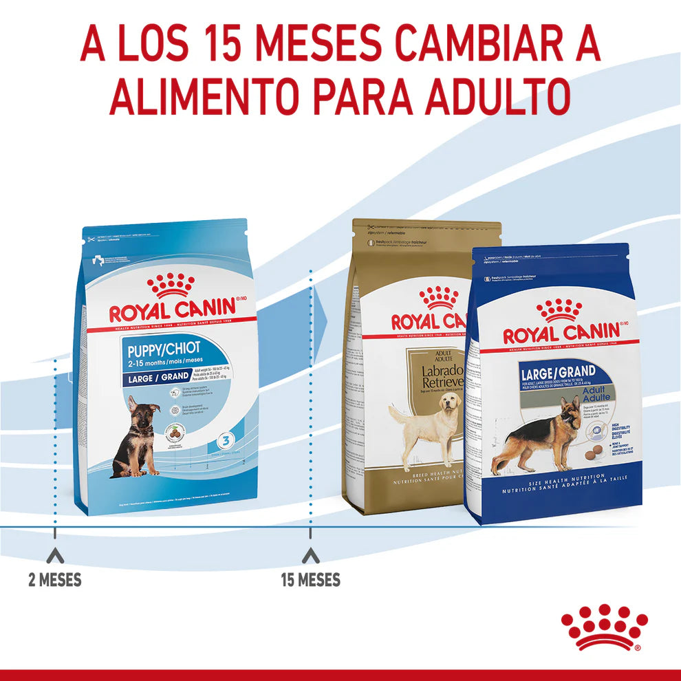 Alimento Seco Perro Cachorro Raza Grande Royal Canin Large / Maxi Puppy 13.6 kg