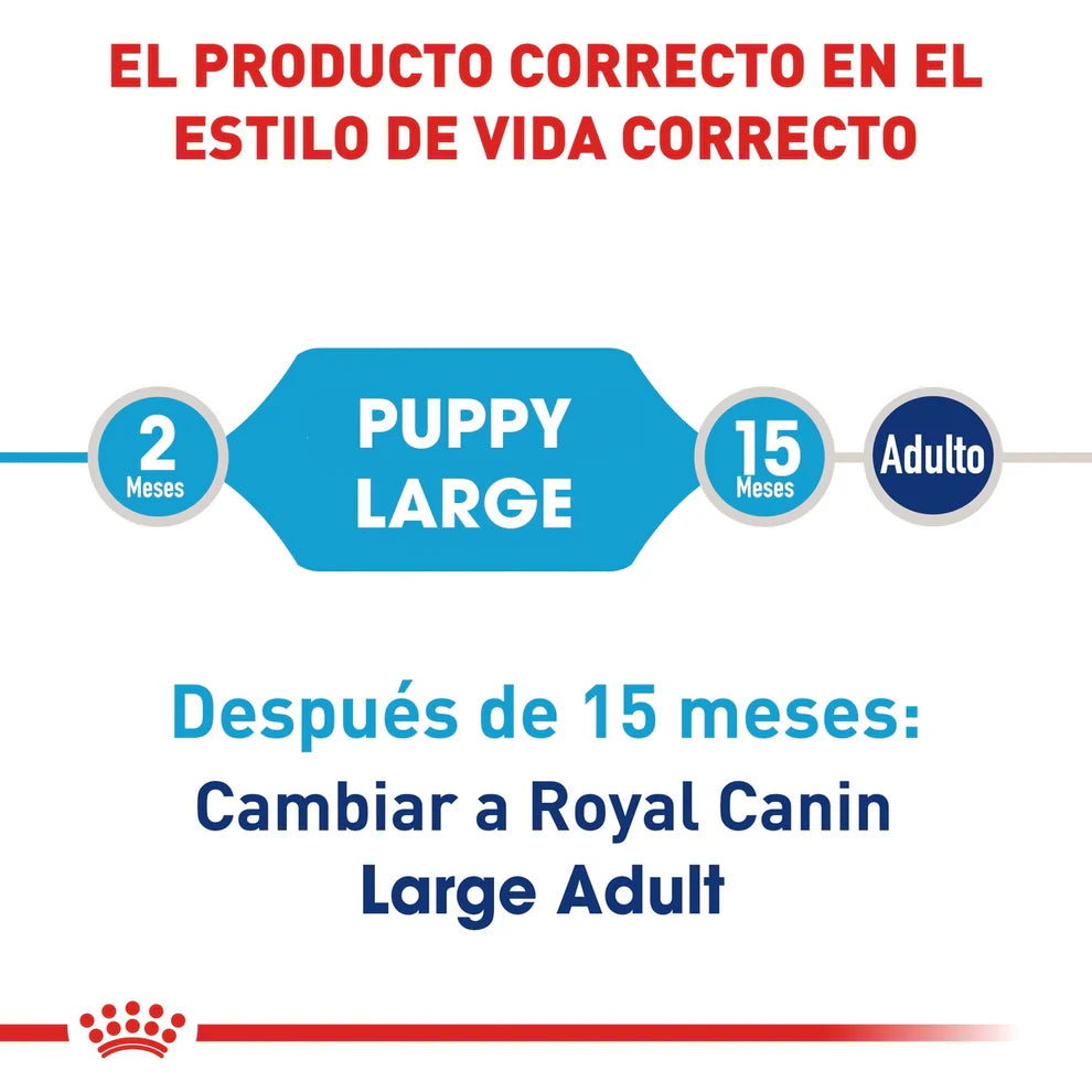 Alimento Seco Perro Cachorro Raza Grande Royal Canin Large / Maxi Puppy 13.6 kg