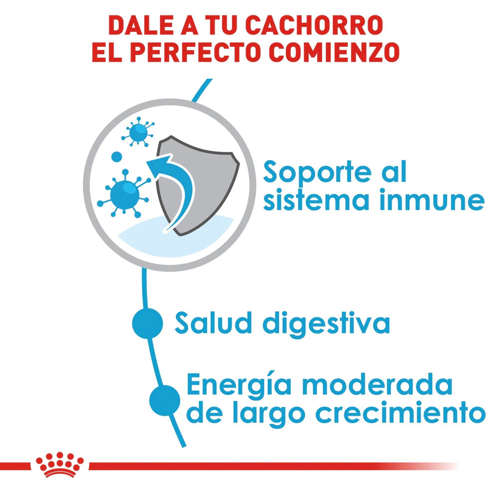 Alimento Seco Perro Cachorro Raza Grande Royal Canin Large / Maxi Puppy 13.6 kg