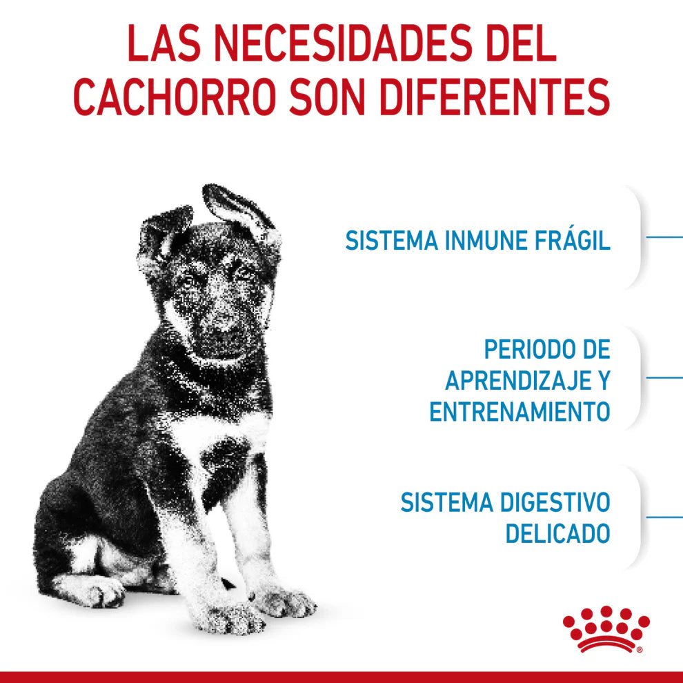 Alimento Seco Perro Cachorro Raza Grande Royal Canin Large / Maxi Puppy 13.6 kg