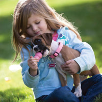Cachorro jugando con kong puppy
