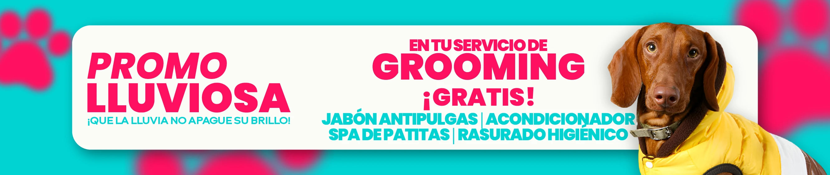 slider image slider_item_px7GqE
