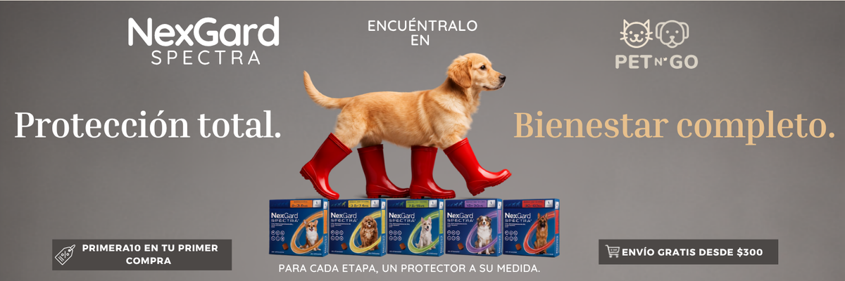 Todo para perro y gato, a domicilio
