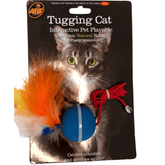 4BF Crazy Cat Azul Mediano