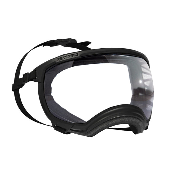 Lentes perro- Rex specs
