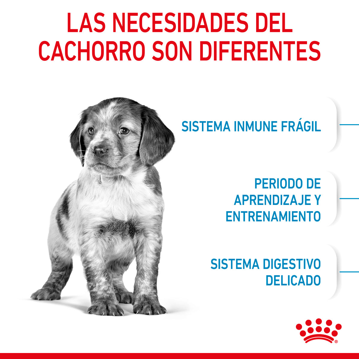 Royal Canin - Alimento Seco para Cachorro Raza Mediana de 13.6 kg