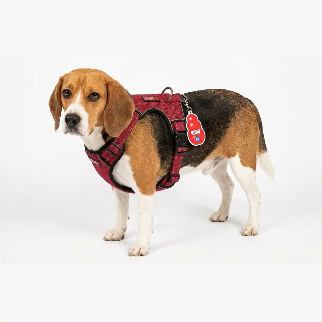KONG CC Arnes Noruego Rojo M K-N5327