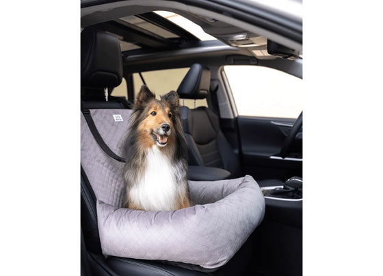 Pet2go- Autoasiento