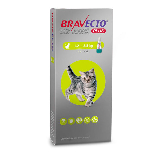 MSD Bravecto Plus Cat 1.2 a 2.8 kg 112.5 mg 0.4 ml