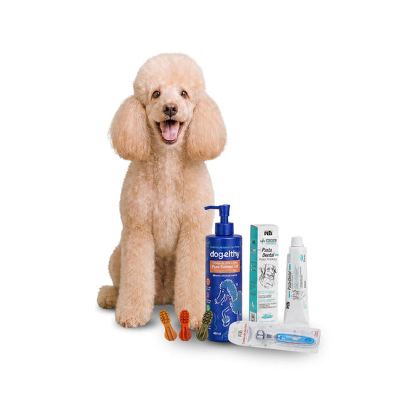 KIT 6- Higiene dental