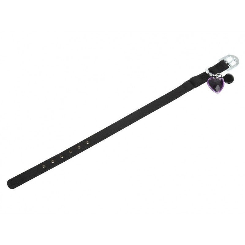 Dogness Collar Teflon Negro para Gato