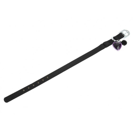 Dogness Collar Teflon Negro para Gato