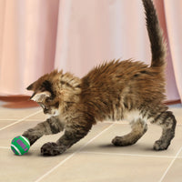 gatito jugando pelotas