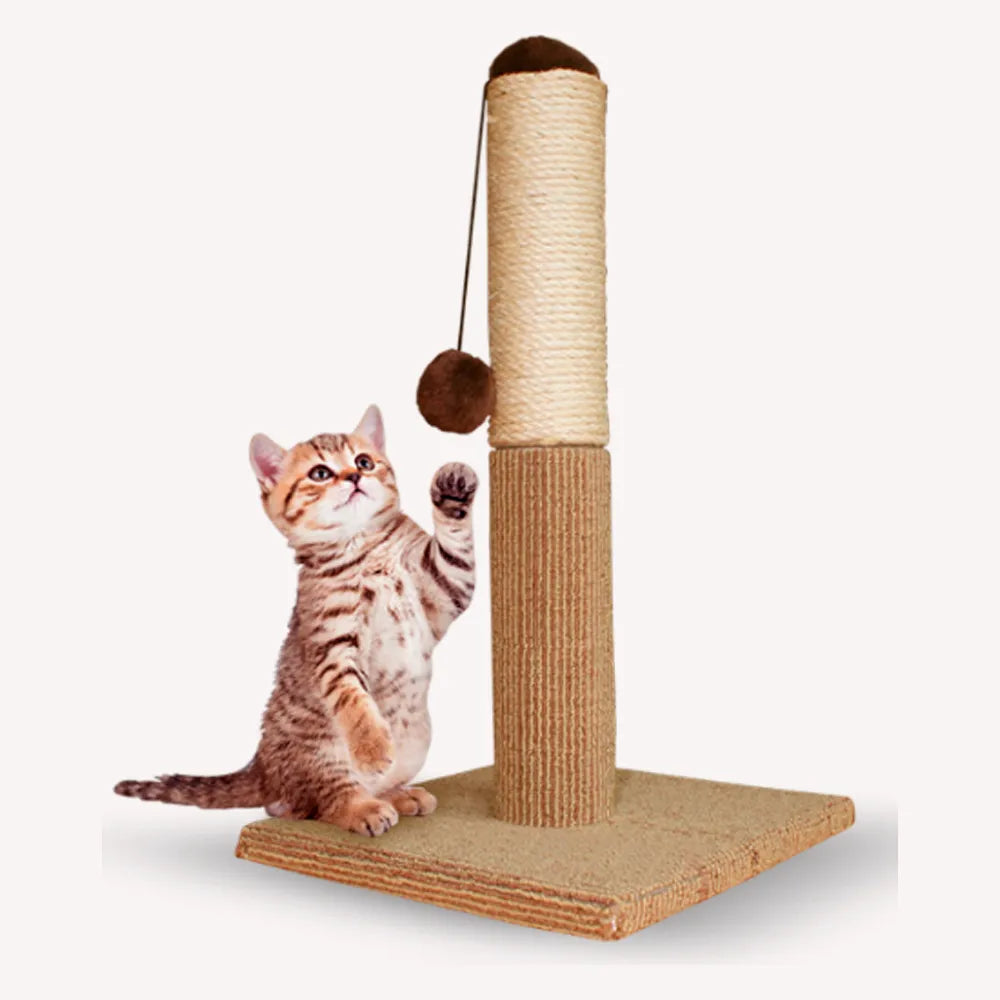 Gato pequeño jugando con la pelota colgante de un poste rascador de 55 cm