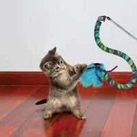 Varita interactiva KONG Teaser Curlz para gatos