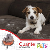 Perro pequeño sobre un sofá con pelo suelto junto al guante Fancy Pets que muestra el pelo recolectado