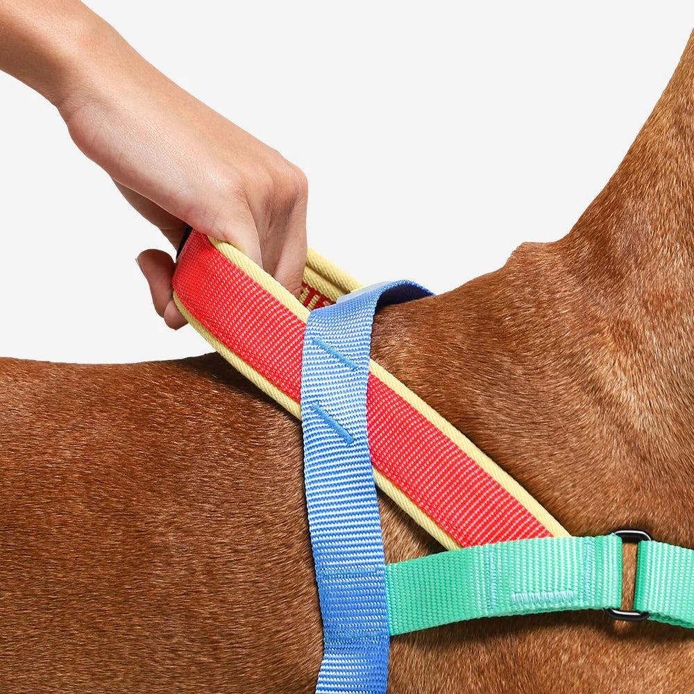 Zee.Dog Arnés Softer Walk