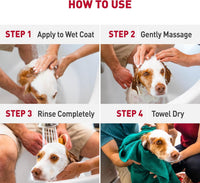 Infografía de 4 pasos para bañar a un perro: aplicar en pelo mojado, masajear, enjuagar y secar con toalla