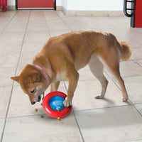 Perro chico jugando con dispensador kong