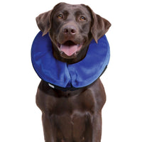 Perro labrador café usando un collar inflable KONG Cloud azul para recuperación post-quirúrgica