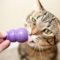 gatito lamiendo kong