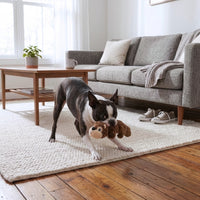Perro Boston Terrier jugando en una alfombra con un juguete KONG