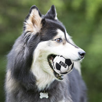 kong pelota husky mediano