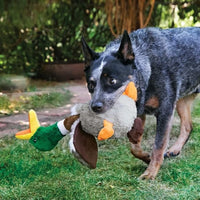 kong pato perro jugando