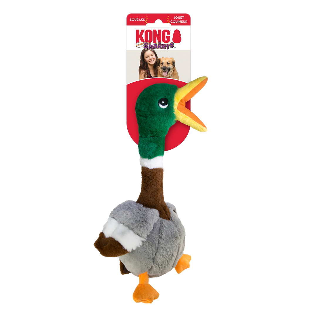 pato kong para perros